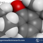 Butyl Acetate Market : Trends,Growth and Forecast 2025-2034