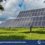 renewable energy market