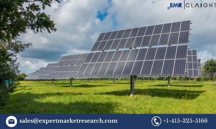 renewable energy market