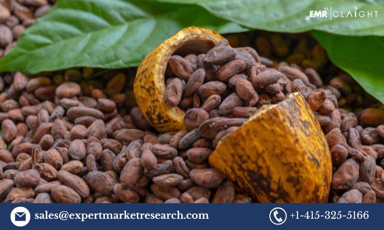 Cocoa Market: Growth, Trends, and Forecast 2025-2034